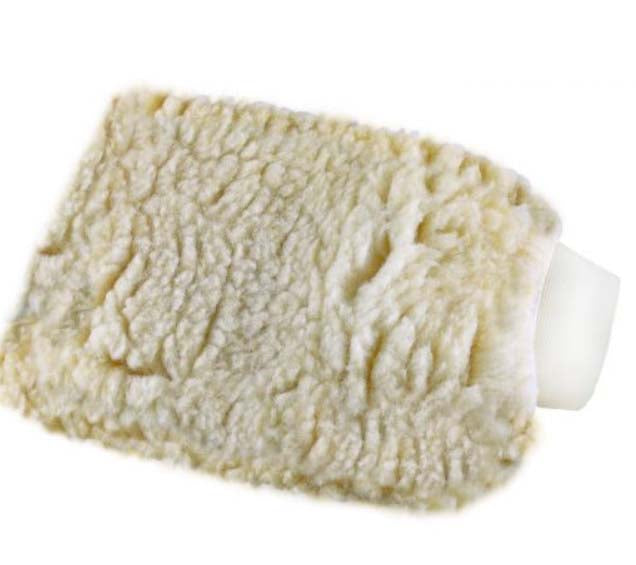 Wash Mitt